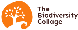 The Biodiversity Collage