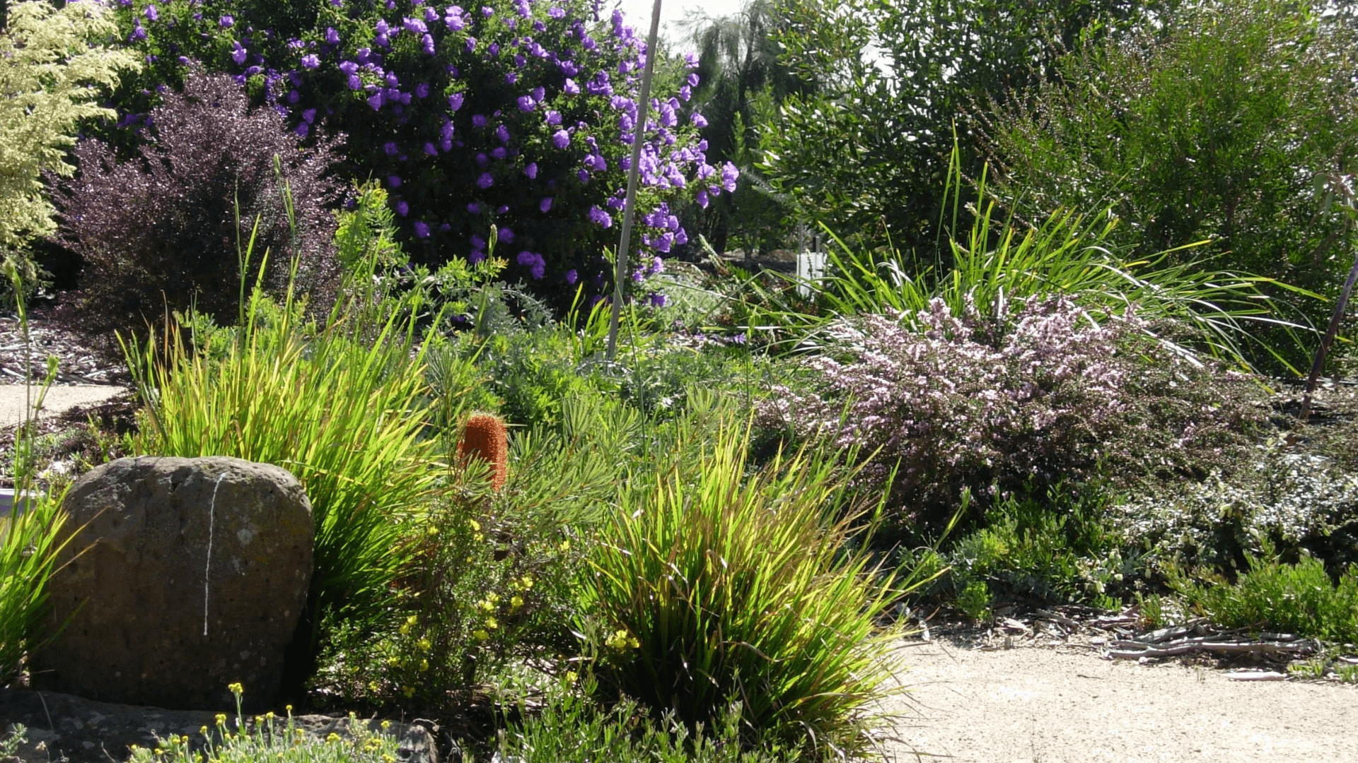 Nature Oasis By People For Nature