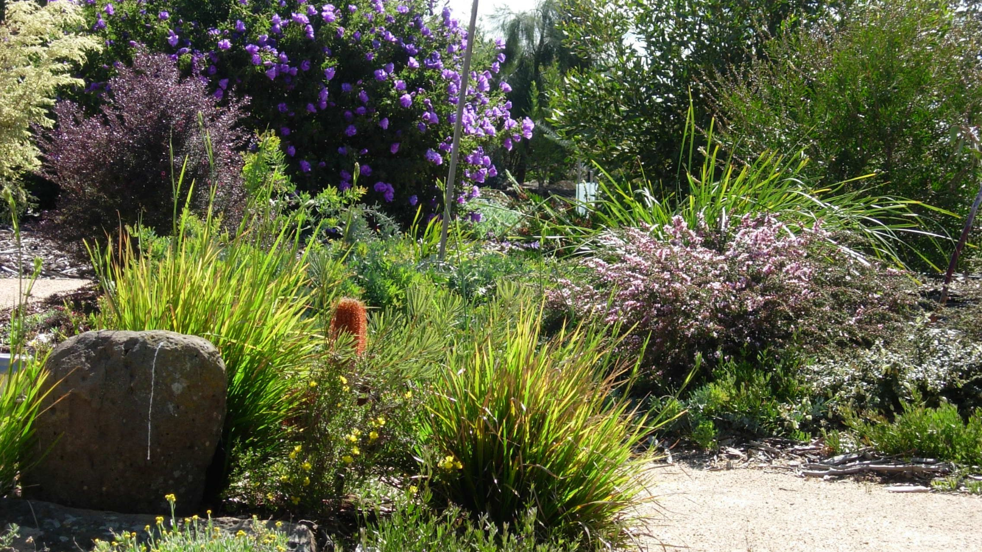 Nature Oasis By People For Nature